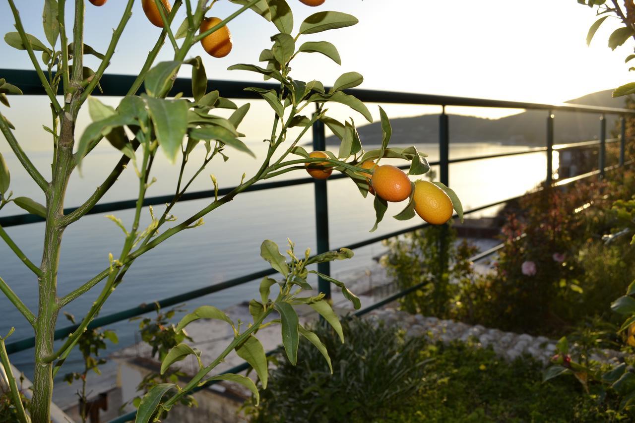 Villa Panorma 科帕罗 外观 照片
